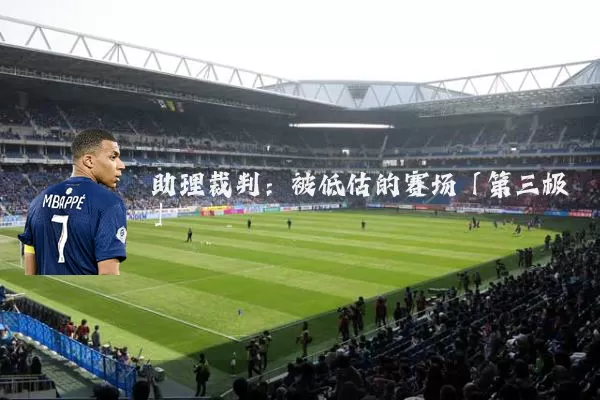 助理裁判:被低估的赛场「第三极」